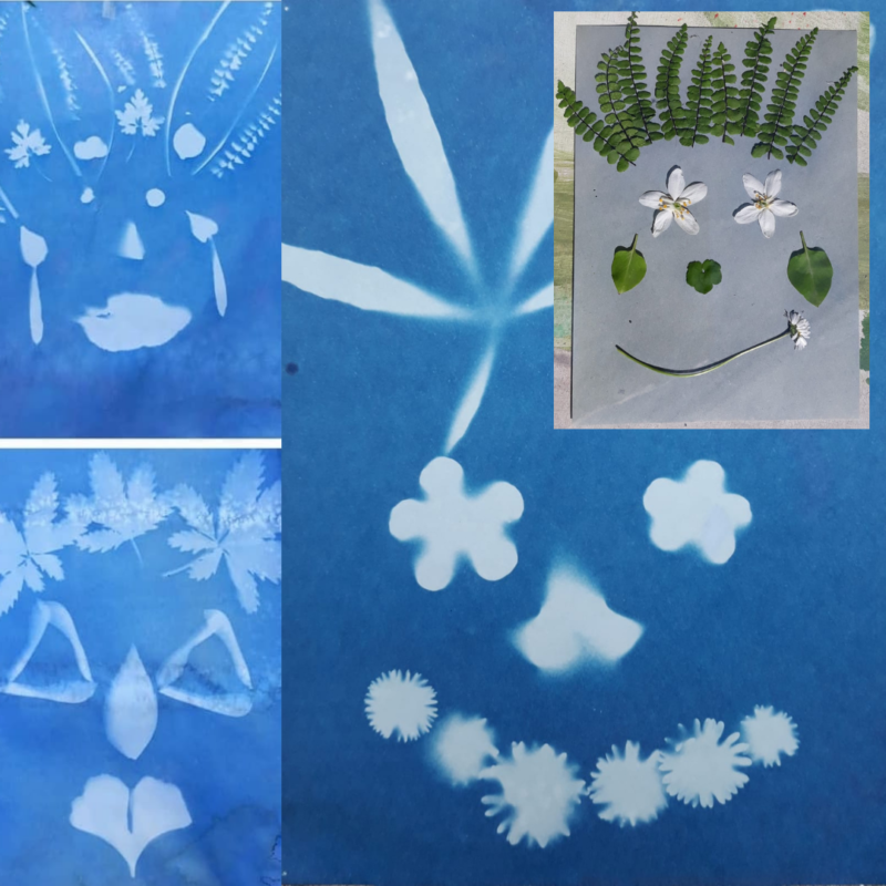 Les Polinsons - Atelier d’impressions en cyanotype