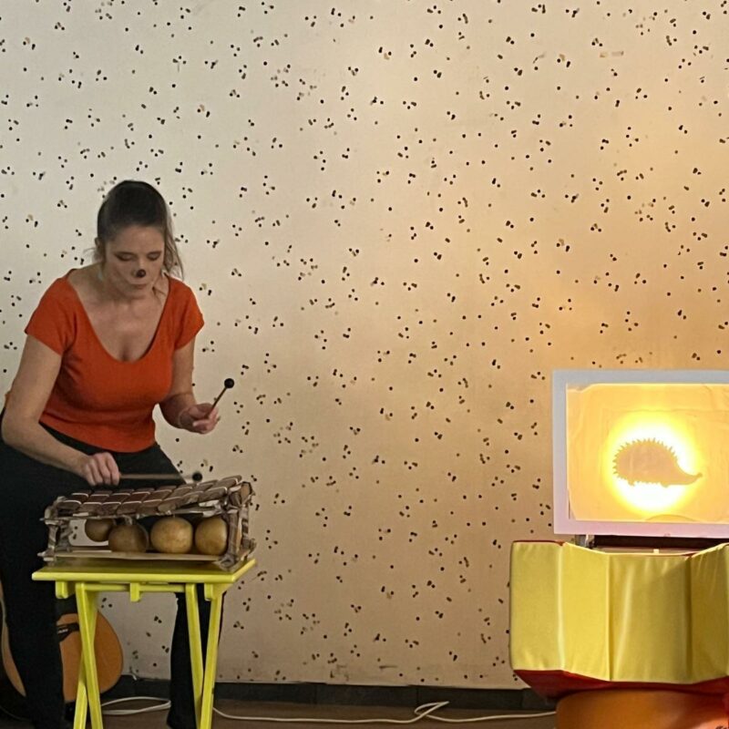 Les Polinsons - Spectacle musical 1-4 ans