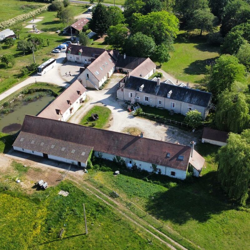 Les Polinsons - 